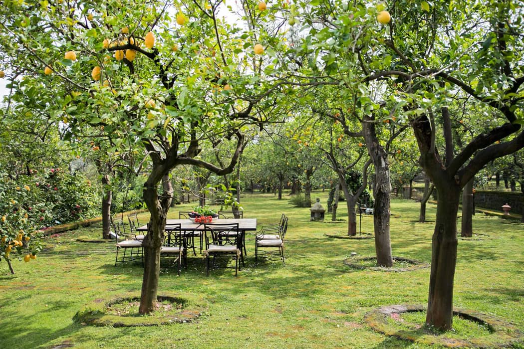 Conca Park Sorrento Agrumeto 04